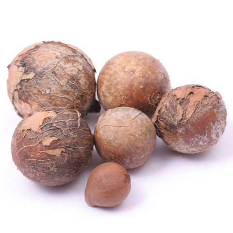 Tamanu Oil, Virgin - Sample