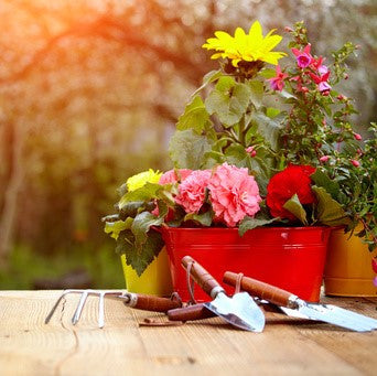 Gardener's Lotion - Sample