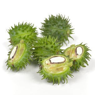 Castor Oil, Refined or Unrefined, Certified Organic - Sample
