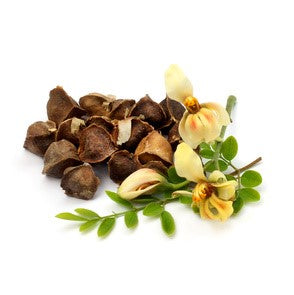 Moringa Oil, Virgin, Certified Organic - Sample