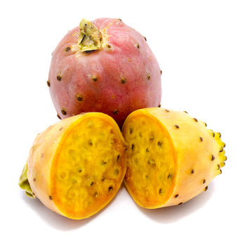 Prickly Pear Seed Oil, Virgin, Certified Organic - Sample
