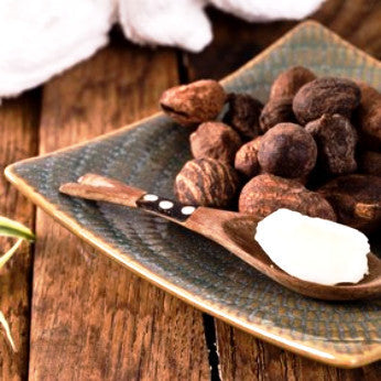 Shea + Coconut Oil Conditioner - Sample