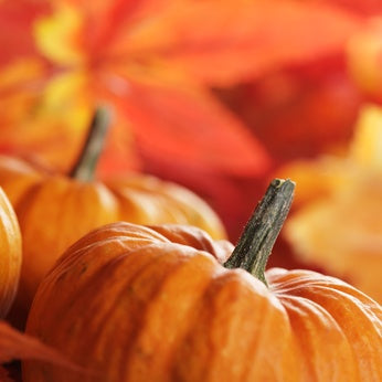 Pumpkin Seed Oil, Extra Virgin, Certified Organic - Sample