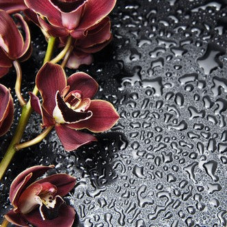 Refreshing Gel Toner - Sample