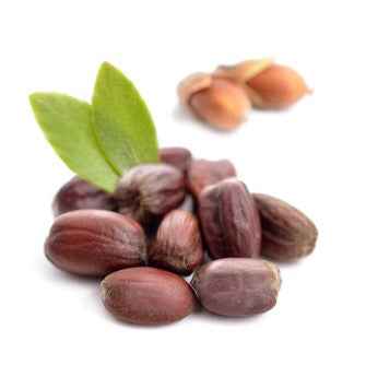 Jojoba Oil, Certified Organic, Clear or Golden - Sample