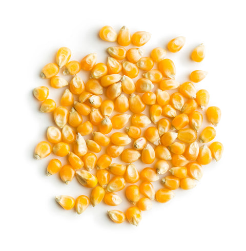 Corn Oil, Virgin, Certified Organic - Sample