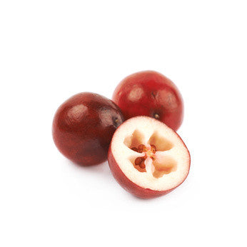 Cranberry Seed Oil, Virgin - Sample