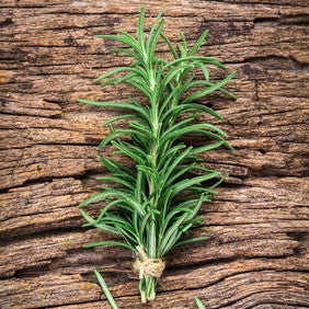 Rosemary Distillate, Certified Organic - Sample