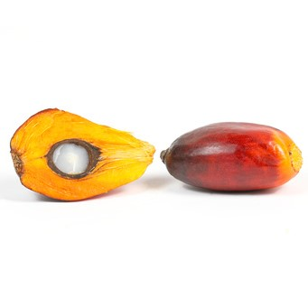 Palm Fruit Oil, RSPO, Certified Organic - Sample