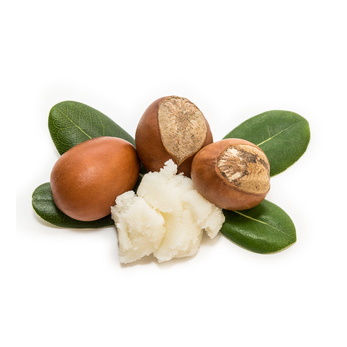 Shea Nut Oil, Certified Organic - Sample